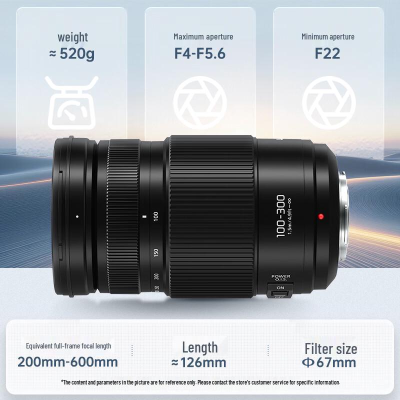 Panasonic Lumix G Vario 100-300mm f/4.0-5.6 II Lens