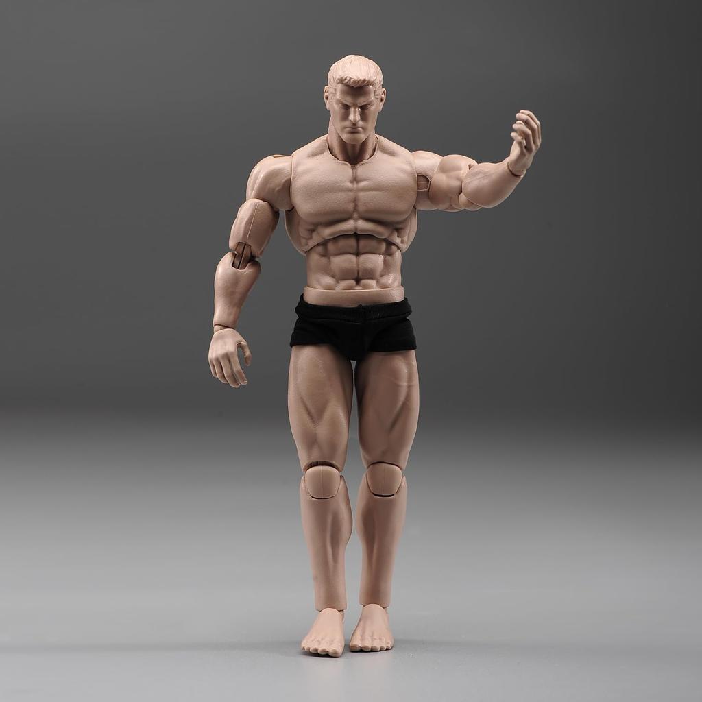 Scale Action Male Body Normal White Muscular Male Body Flexible Miniature Action Figure Body Doll Collection 1/12 Figure, 6-Inch Model, Skin, Model,