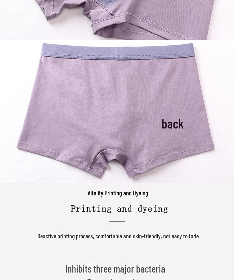 Men's Summer Cotton Loose Boxers - Breathable, Seamless & Anti-Pilling Plus Size 4-Corner Briefs