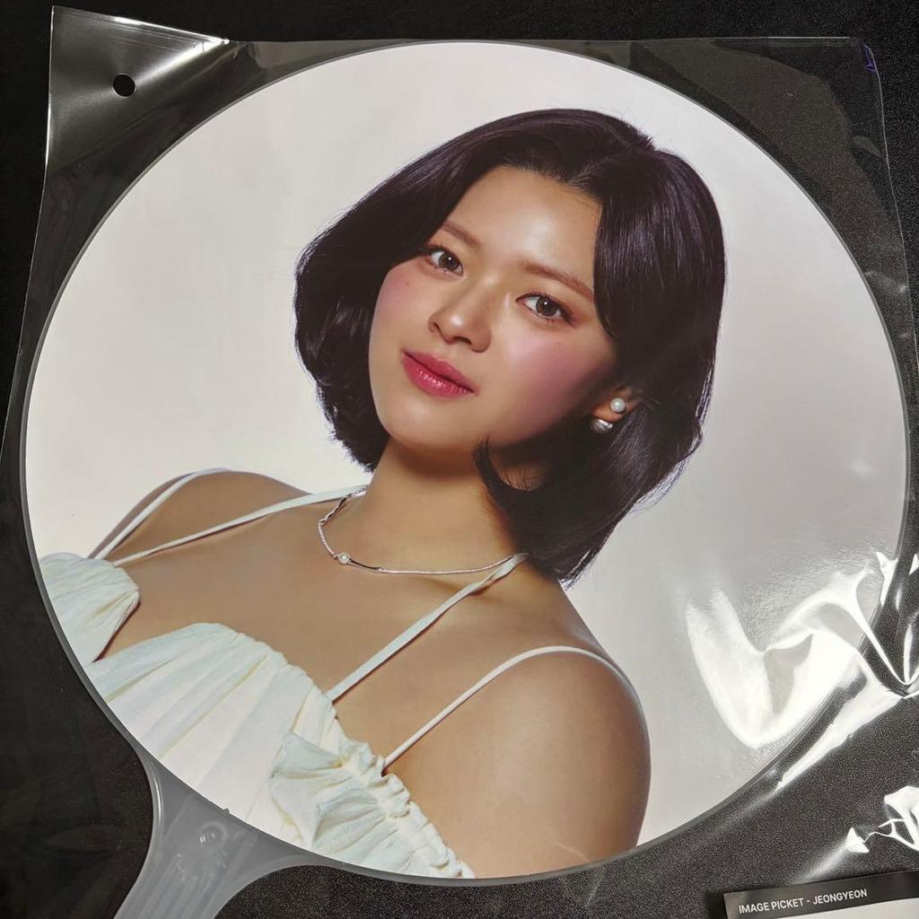 [USED] TWICE Jeongyeon THIS IS FOR Seoul Concert Fan