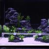 Cuttable Length Aquarium Air Curtain Adjustable Direction Aquarium Aerator Tube  Saltwater Aquarium