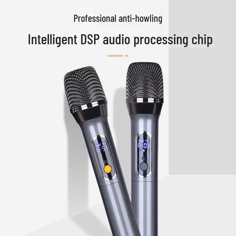 SAST D62 KTV Home/Conference Bluetooth Amplifier