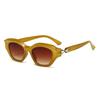 2024 Women's Fashion Irregular Frame Sunglasses 9553