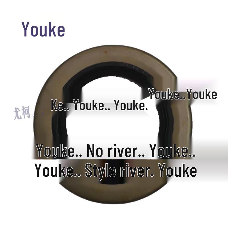 Nanjing Iveco Gearbox Front Oil Seal