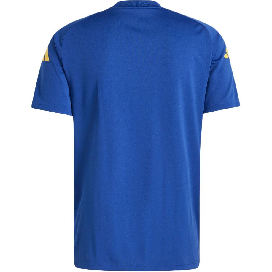 Adidas Španělsko Euro Cup Tréninková Colorblock Crew Neck Krátký Rukáv Fotbalový Dres Pánské Topy Vítězně Modrá IW7891