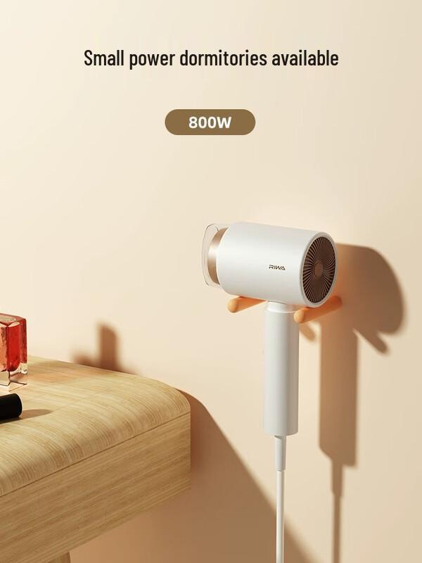 Rewa Negative Ion Hair Dryer 800W CN plug (adapter included)