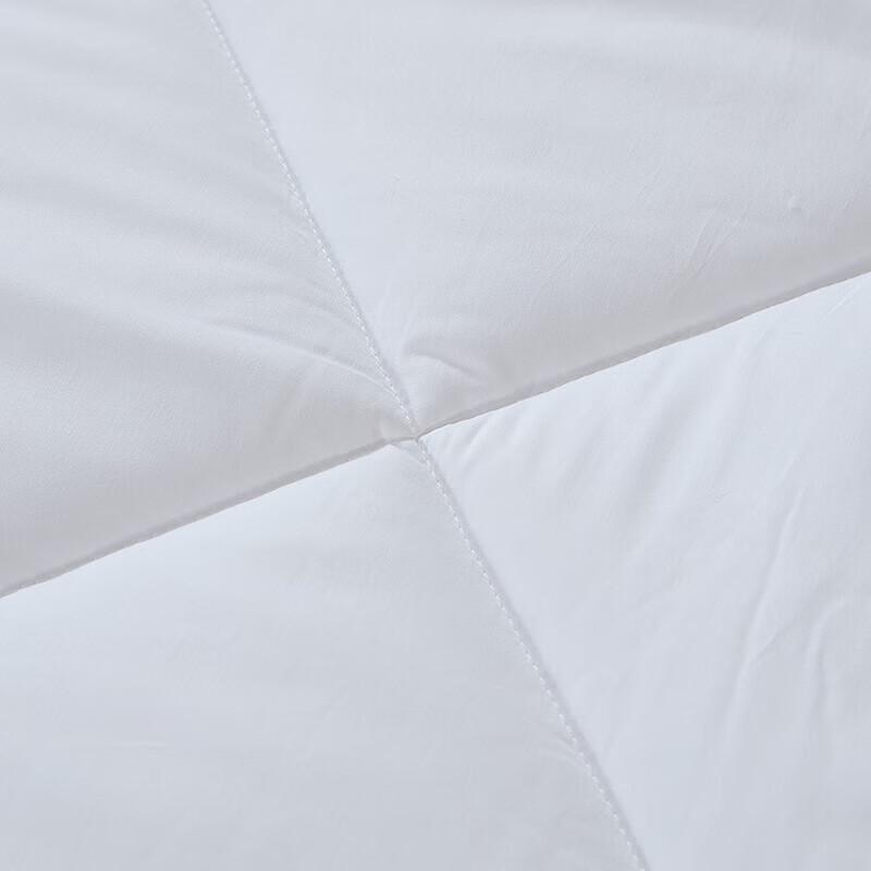 Fuanna All-Season Warm Quilt