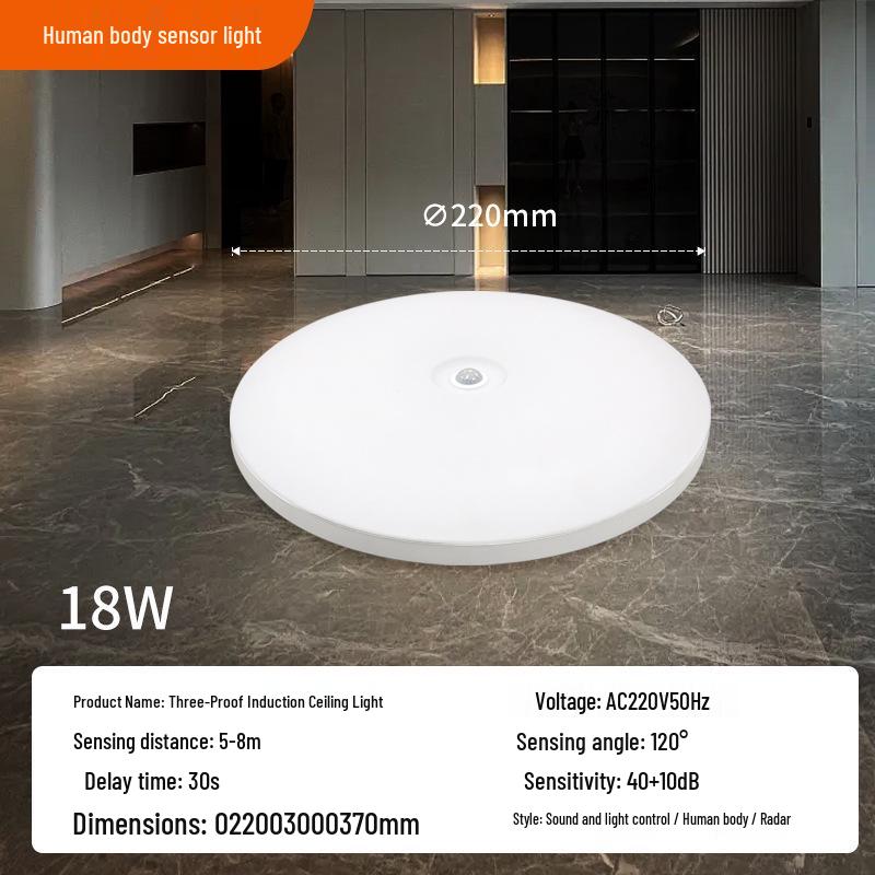 Ultra-thin Radar Induction Ceiling Light: Voice and Motion Activated for Stairwells and Corridors, Waterproof and Dustproof