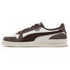 Court Legend Chestnut Brown Unisex Lifestyle Shoes 401441-02