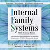 Internal Family Systems Skills Training Manual Paperback