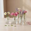 10PCS/SET Retro Relief Mini Glass Vase Crystal Clear Flower Vase Small Vase Set  Desktop Ornament