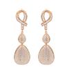 Micro-Set Zircon Earrings Dinner Long Water Drop Earrings Ear Jewelry