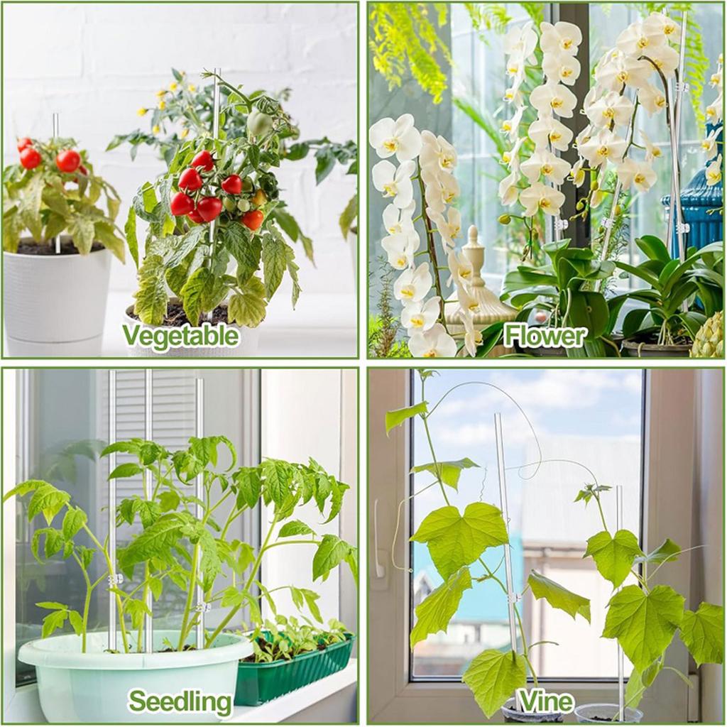 30PCS Acrylic Plant Support Stakes 11/16Inch Clear Flower Sticks for Indoor and Outdoor Single Stem Plant with Clip