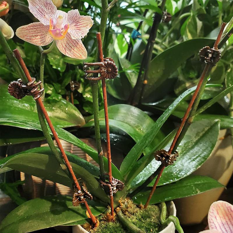 100/200pcs Clips for Garden Plants Plastic Holder Clip for Orchid Stem Plant Holder Clamps for Stem Fruit Vegetable