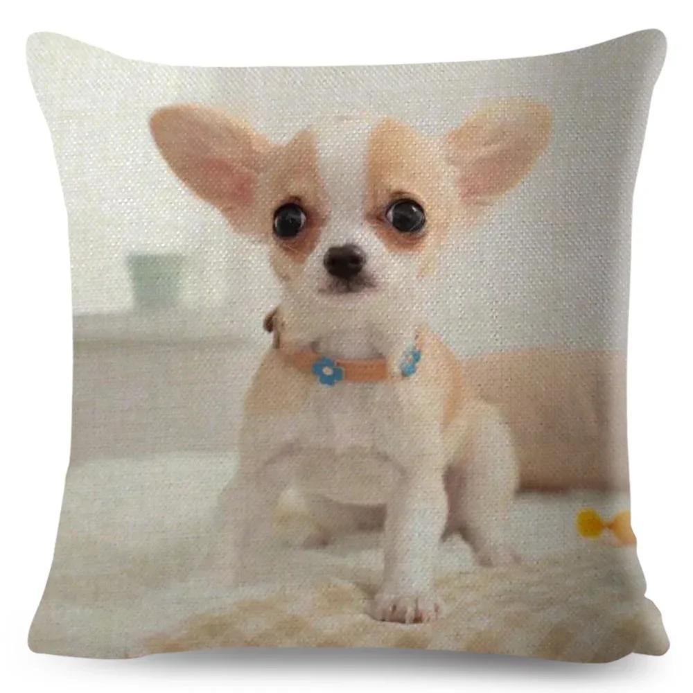 Cute Little Dog Chihuahua throw pillow cover with short plush print for living room sofa decoration cushion cover pillow covers