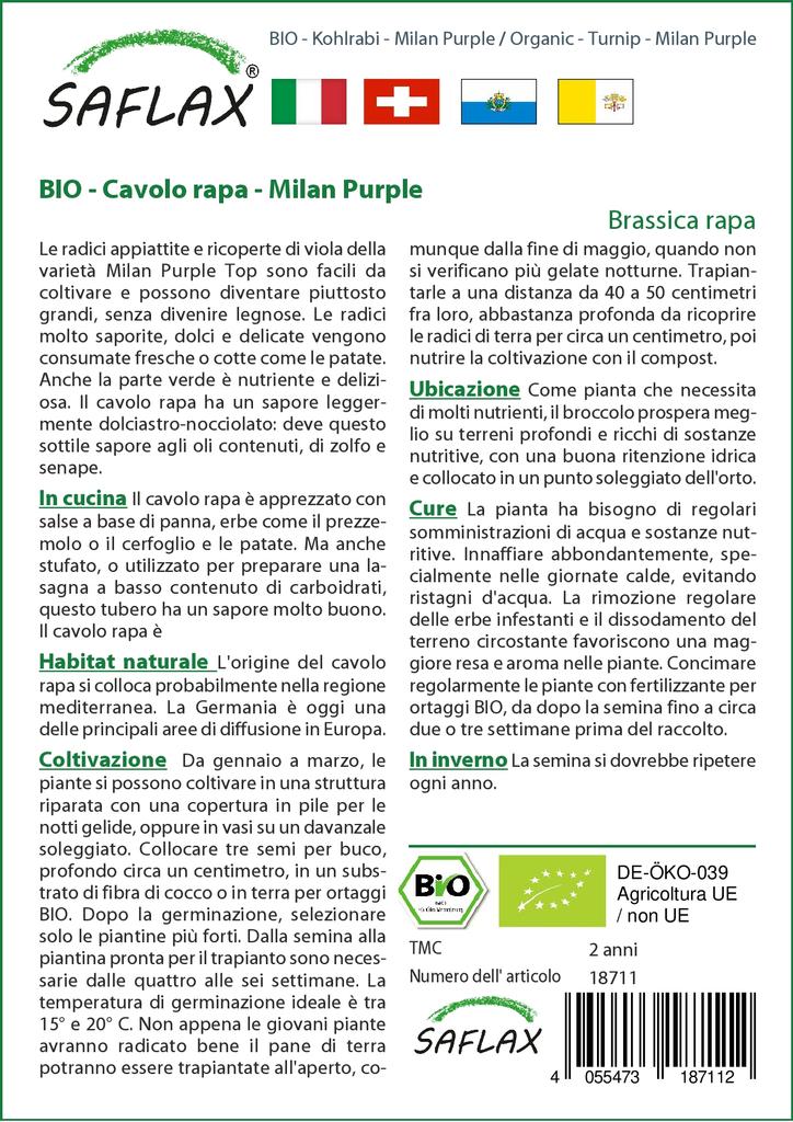 SAFLAX Organic - Turnip - Milan Purple - 600 Seeds - With Potting Substrate for Better Cultivation - Brassica Rapa