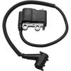 Echo PB580H PB580T EB600RT Ignition Coil A411001621