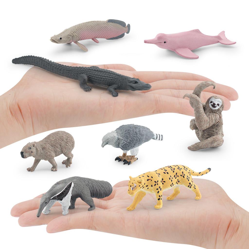 Crocodile South Dolphin American Animal Model Set Home Decor And Toy Teaching