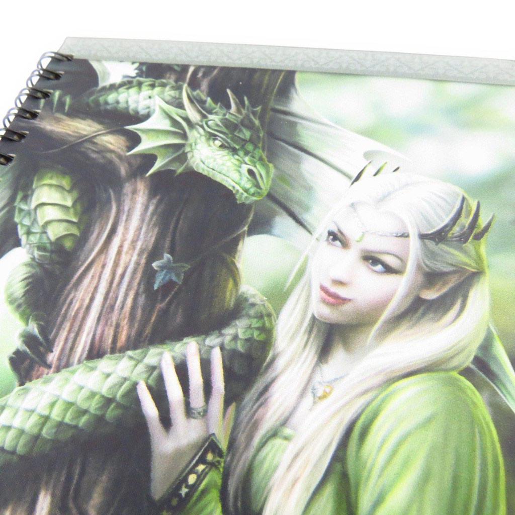 Les Trésors De Lily [J5595] - Carnet à spirales 'Fairy Dreams' vert