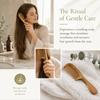 Comfortable Grip Fine Tooth Comb Round Handle Scalp Massage Comb Smooth Wooden Hair Comb  Home Use