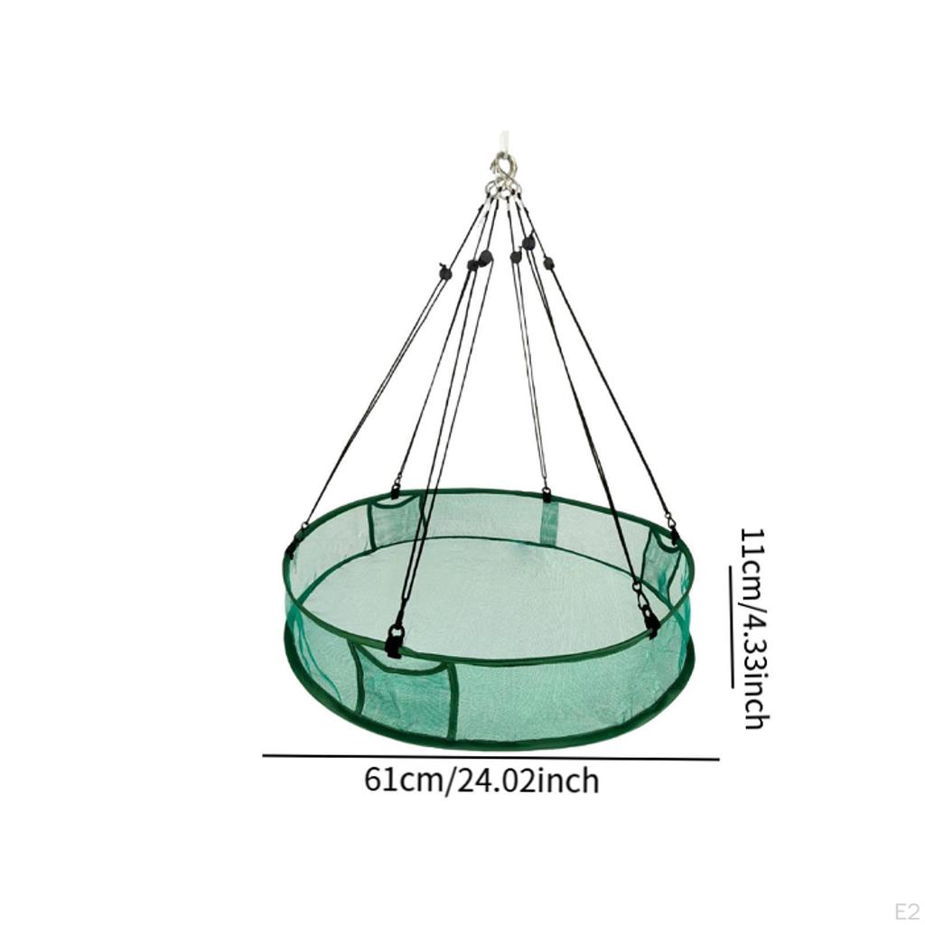 Bird Catcher Hanging Hoop Station Tray