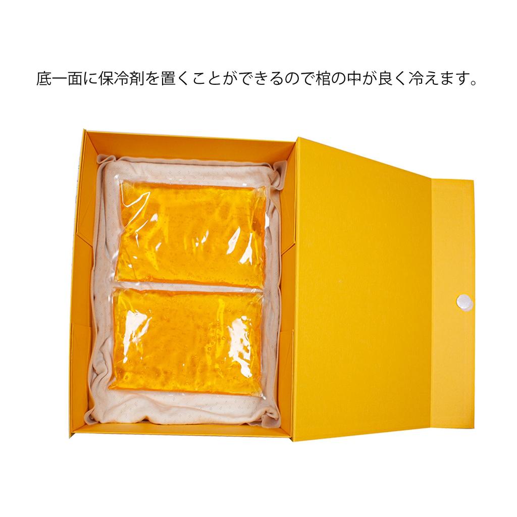 This Ice Pack Is Specifically Designed for the Cot M for Moms and Angels Weeks 1 Day To 21 Weeks 0 Days It Can Be Placed All Over the Bottom of the