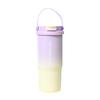 Stylish 316 Stainless Steel Insulated Cup - Portable Sports Water Bottle & Dual-Drink Straw for Outdoor Use