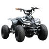 Electric Little Falcon ATV: Four-Wheel Off-Road Beach and Mountain Vehicle