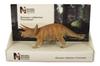 POCKETBOND British Museum of Natural History Triceratops [18cm]