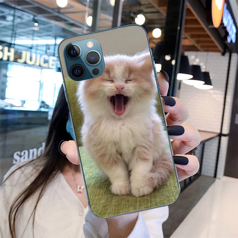 

Чехол для телефона с милым котом для Iphone 11 12 13 Pro Max 5S 6S 7 8 Plus X Xr Xs Max Se 2020 13 Mini Case Cover iphone 13 mini