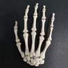 New1 Pairs Halloween Skeleton Claw Hand Bone Shelf Ghost House Chamber Bar Terror Decoration Props Trick Hanging Accessories