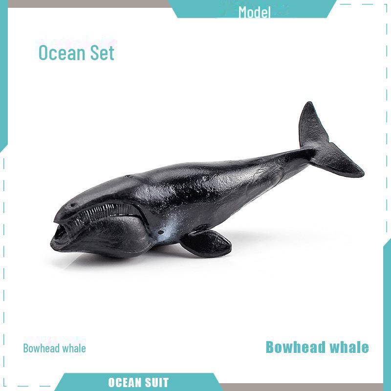 Marine Animal Model Set: Shark, Turtle, Dolphin, Whale, Penguin, Crab, and Seabed Creatures