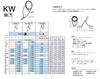 Fuji T-KWTG Size 10 Rod Guide Torzite Titanium K Frame X 1 (3466)