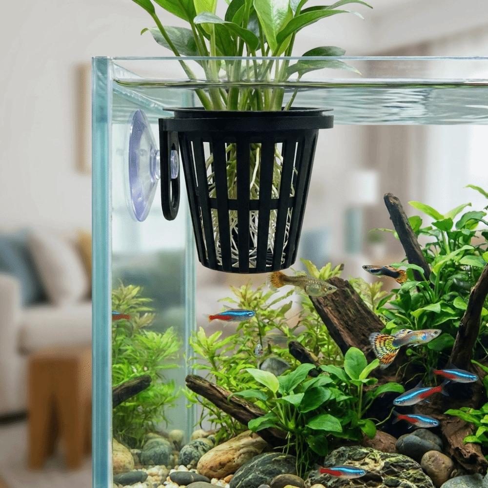 Soilless Cultivation Aquarium Plant Holder Top Hanging Aquarium Planter Cups Planted Tank