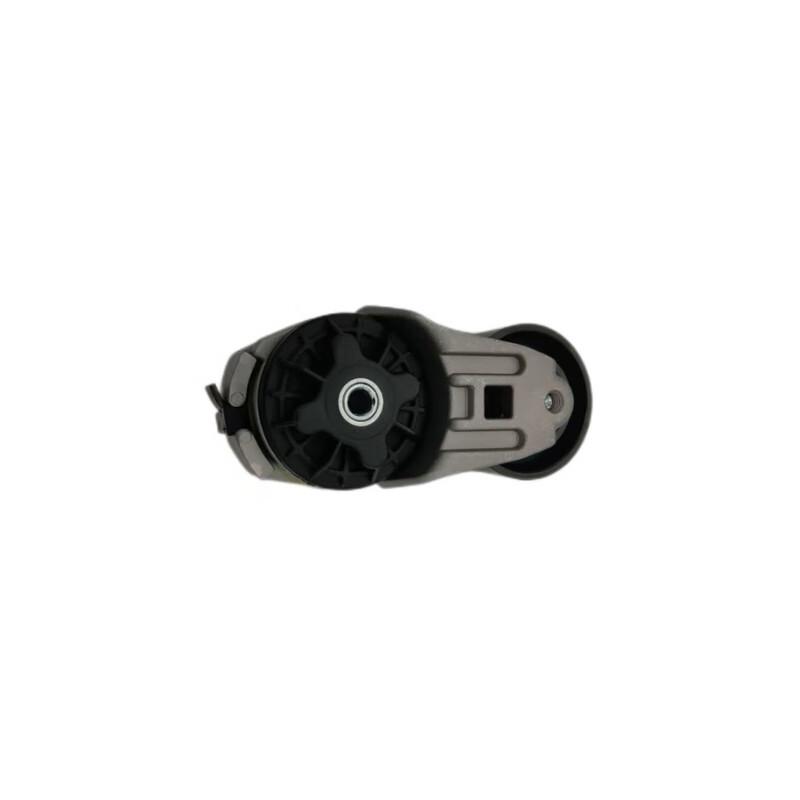 Huadema Belt Tensioner Pulley for Shacman SX2190NK