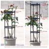 Black European Garden Plant Climbing Rack