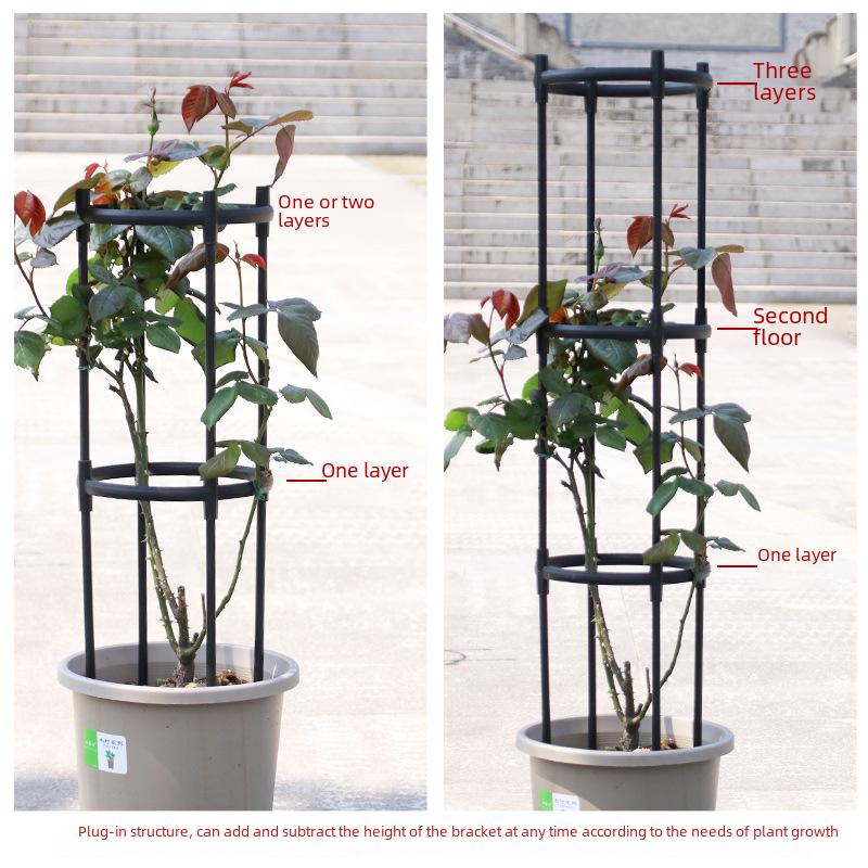 Black European Garden Plant Climbing Rack