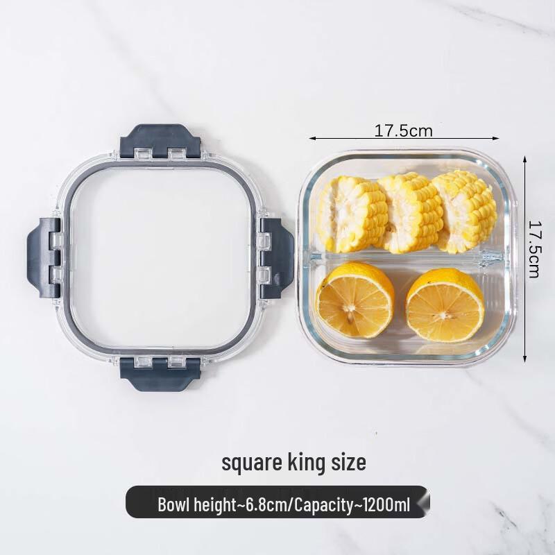 

ZISIZ Rectangular Glass Lunch Container