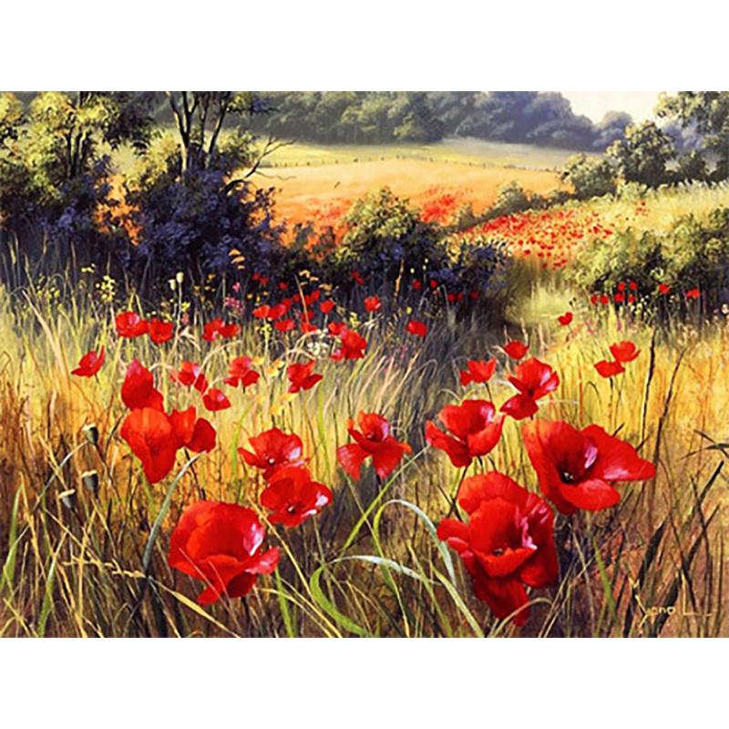 Gjør-det-selv Valmue Scenery 5D Diamantmaleri Hel Rund Drill Mosaikk Landskap Diamantbroderi Blomster Korssting Julegave