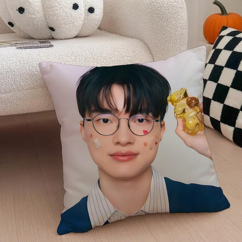 Fashion Modern L-Lol T-T1 F-Faker Cushion Cover Throw Pillow Cover Hidden Button Durable Polyester Chair Cushion