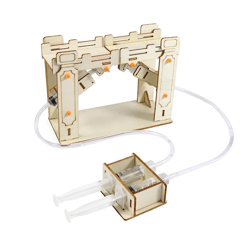 Elementary Science Experiment Wooden DIY Kit - Educational Toys