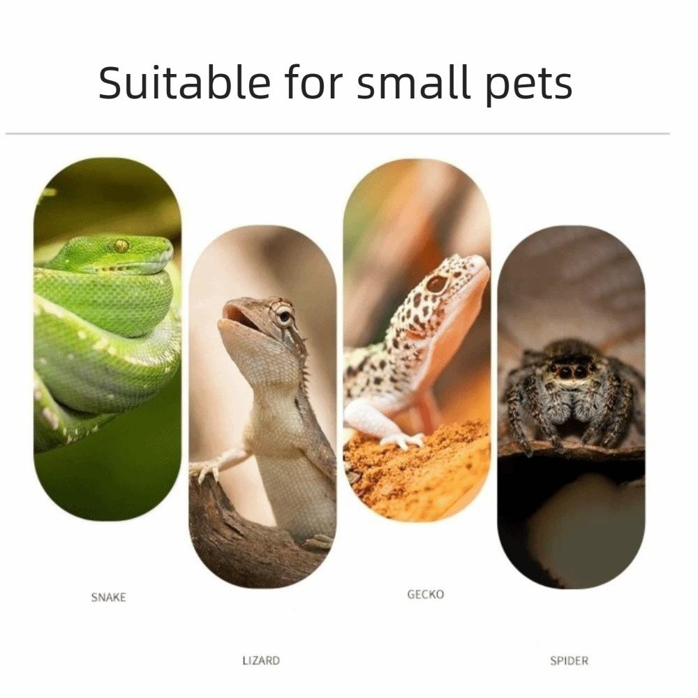 Realistic Reptile Shelter Wall Mounted 3D Printed Cave Climbing Habitat  Aquarium Decoration