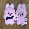 [USED] Stray Kids Changbin 10cm Plush Toy Set