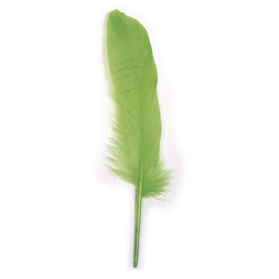 Goose Feather, Lime Green, 16 - 20 Cm, 8 Pcs