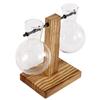 Transparent Bulb Vase with Wooden Stand Glass Desktop Planter for Hydroponic Plant Container Coffee Shop Room Tabletop Decor