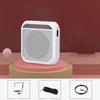 With Microphone Wireless Voice Amplifier Rechargeable Classroom Sound Speaker  For Teachers