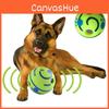 Wobble Wag Giggle Ball Sicher Ungiftig Und Langlebiges Haustierspielzeug Für Hunde