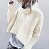 2025 Autumn/Winter Oversized Cable Knit Turtleneck Sweater