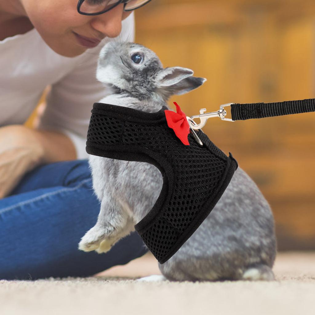 1Set Pet Harness Leash Rabbit Harness Bunny Walking Supplies Breathable Bunny Vest Leash Outdoor Traction Rope