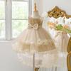 Abito da Principessa Formale per Bambina per Banchetti, Compleanni, Esibizioni di Pianoforte, Torta in Rete Costume per Bambini